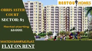 Affordable Luxury: Renting in Gurgaon's Most Desirable Societies | Orris Aster Court- Sector: 85