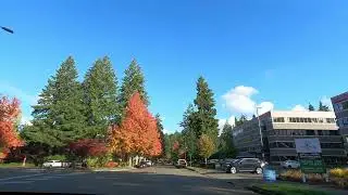 Autumn Colors City of Lacey Washington State USA November 2025 Cinematic 5K HD @Mallu Seattle