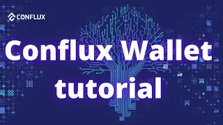 Conflux Fluent Wallet Setup Tutorial