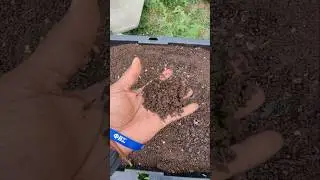 How to Amend Garden Soil with Worm Castings & Compost (Large Batch!) #diygardening #gardeninggoals
