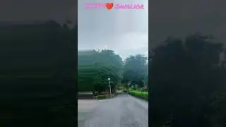 IIITM Gwalior 💫🥰 one of the best campus ❤️🥰 // iiit #shorts #iiitm #iit