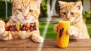 Cat playing and 😺 funny moments 
