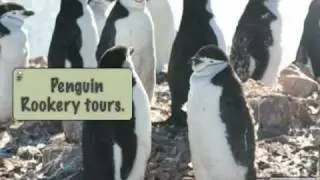 Travel tips for visiting Ushuaia, Argentina- the most southern city in the world!