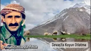 Dengbêj Hüseyin Ödük - Malamın | Gevaş Dağlarında Koyun Otlatma