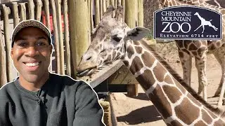 Largest Giraffe Herd in North America