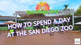 How to Spend A Day at the San Diego Zoo | San Diego Vacation Day 4