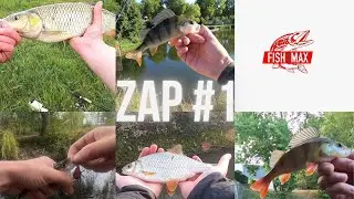 ZAP #1