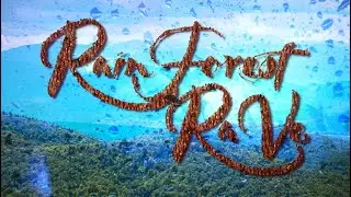 Rainforest Rave feat. David Wise [Electronic/Dance]