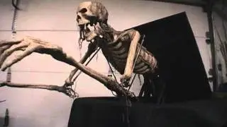 Animated Prop - Table Popper 