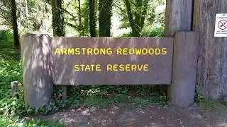 Armstrong Redwoods State Reserve