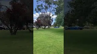 #foryou #shortvideos #australia #views