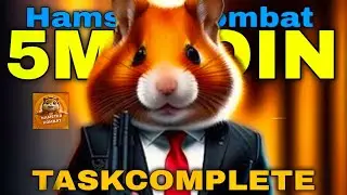 5M COMPLETE TASK | 29 June | Hamster Kombat | 💗