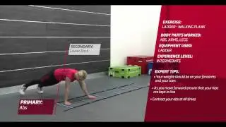 Ladder - Walking Plank