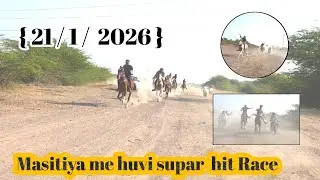 || masitiya Horse Race in  M sarkar ki taraf se hu vi rase || { 21 / 2 / 2026 } Jamnagar Gujarat 