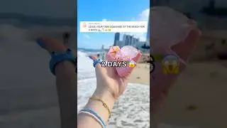 I LEFT MY TABA SQUISHIES AT THE BEACH FOR 2 DAYS! 😳😱🌊🏖️