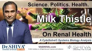Dr.SHIVA&reg; LIVE: Milk Thistle on Renal Health @CytoSolve&reg; Systems Analysis