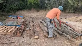 Prepping the Trees for the Roof