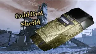 Gold riot shield grind brings me pain(Road To Damascus #1)