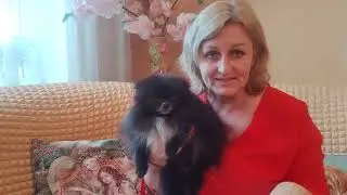 Поговорим немного 😃🤗🐾 Продажа щеночков доставка по миру+79788972514