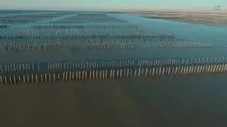 Les mouli&egrave;res de la pointe d'Agon (Agon-Coutainville, Manche)