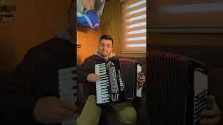 Acordeon Excelsior 72 bajos en venta
