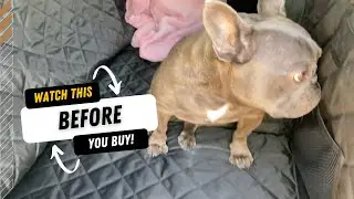 The Safest Vehicle Dog Bed on Amazon?