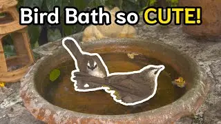 Yellow-vented bulbul bath เสียงนกปรอดหน้านวลอาบน้ำ