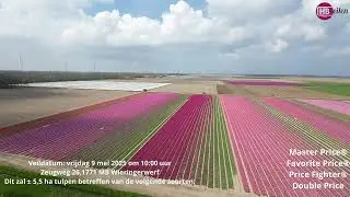Groene Veiling Steltenpool Bolbloemen BV - Zeugweg