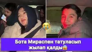 Бота Мираспен татуласып жылап қалды😱