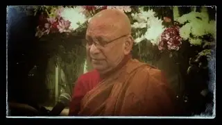 Shreds of Wisdom - Dependent arising pt.1(współzależne powstawanie) Paticca samuppada