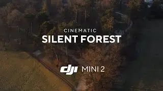 Silent Forest Short Film