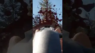 We had to put the turkey down 🦃🔫 | theHunter: Call of the Wild