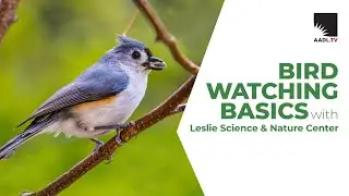 Bird Watching Basics with Leslie Science Center
