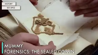 Mummy Forensics: The Sealed Coffin