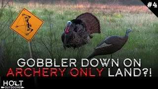 Missouri Turkey Season 23' - Successful Hunt On Archery Only Land?!
