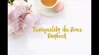 Daybook 2019