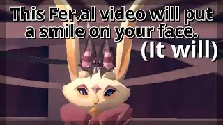 This Feral Video Will Make Your Day Better - FER.AL