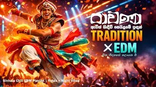 හිත නිදහසේ ගලායන ගී 🔥 | Sinhala Emotional EDM Mix | Traditional Songs Reimagined 2026