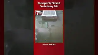 Warangal City Submerged in Rain: RTC Services Halted, Low-Lying Areas Flooded |