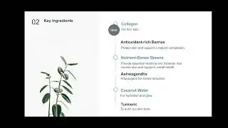 InnerGlow Business Presentation (English Project Due 30 Oct 2024)