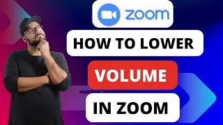 How To Lower Volume On Zoom [Quick Guides]