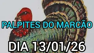 PALPITES DO MARC&Atilde;O DIA 13/01/26 (DIA TODO)@canaldomarcao1969 