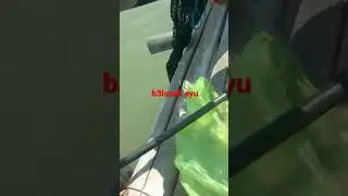 BELANAK RUMPON FERY JAYA