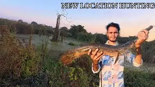 Big Snakehead Fish Catching 😱 in winter season ll ठंडी में शिकार कैसे करें😱