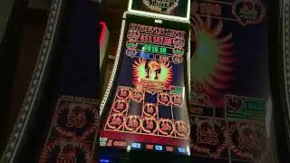 the #phoenix Link chase paid off!#gambling #gaming