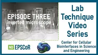 Lab Techniques - Inverted Microscope