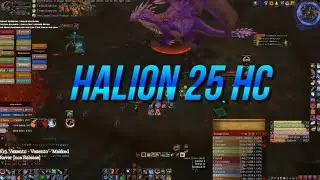 Ruby Sanctum 🆚 Halion 25 M Heroic 👹 MM Hunter PVE POV