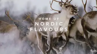 Home of Nordic Flavours 2020 - Food Film Menu 2020 - Regions of Gastronomy