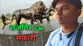 Rajgir Zoo Safari | kumar saurabh vlogs