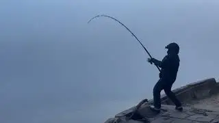 SYDNEY FISHING AKUNA BAY KINGFISH zenaq mutos accura 100hh